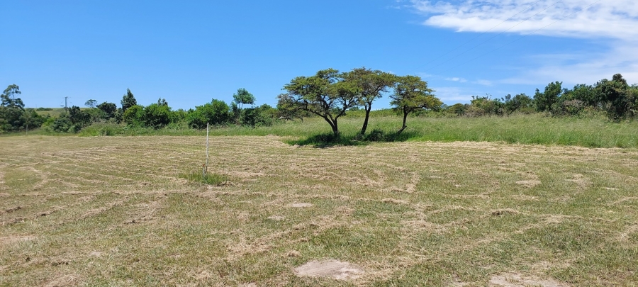 0 Bedroom Property for Sale in Kwelera Eastern Cape